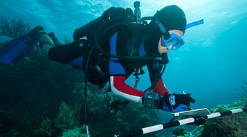 underwater-diver