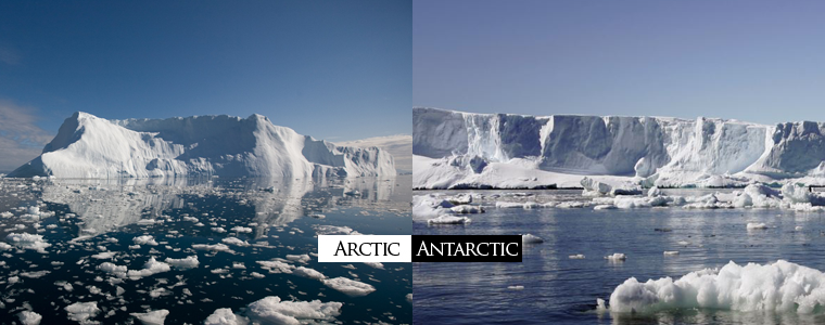 arctic antarctic