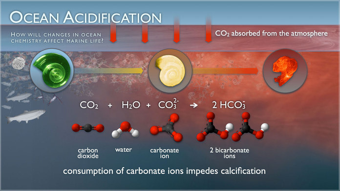 Credit: PMEL Carbon Program